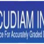 Accudiam Inc Profile Picture