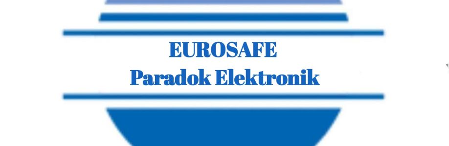 Euro Safe Cover Image
