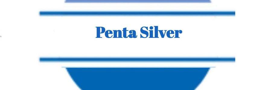 Penta Silver Cover Image