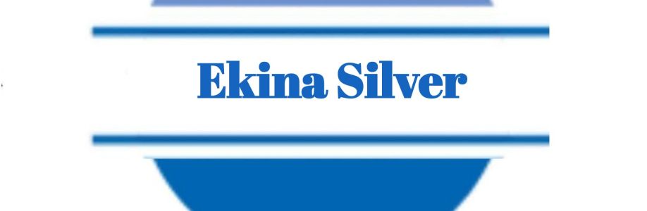 Ekina Gümüş Cover Image