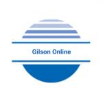 Gilson Online Profile Picture