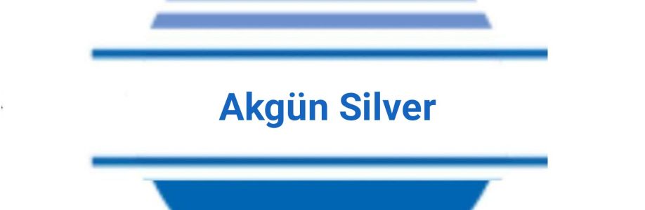 Akgün Silver Cover Image