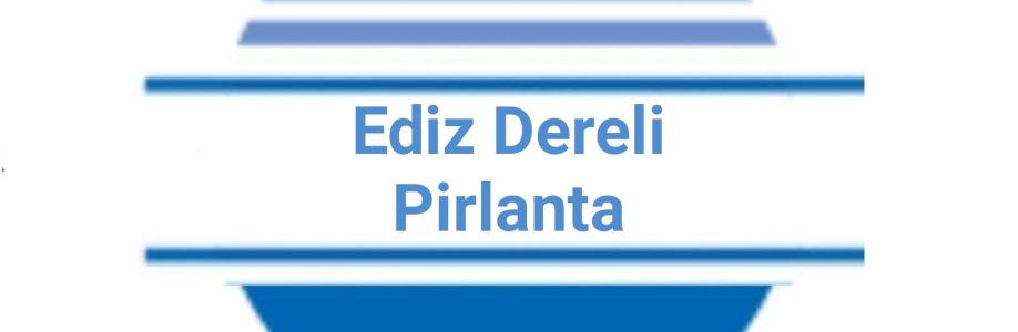 Ediz Dereli Pirlanta Cover Image