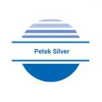 Petek Silver Profile Picture