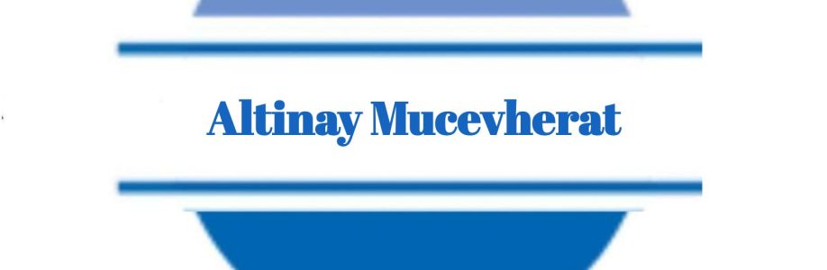 Altinay Mucevherat Cover Image
