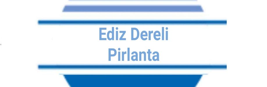 Ediz Dereli Pirlanta Cover Image
