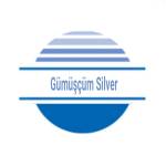 Gümüşçüm Silver Profile Picture