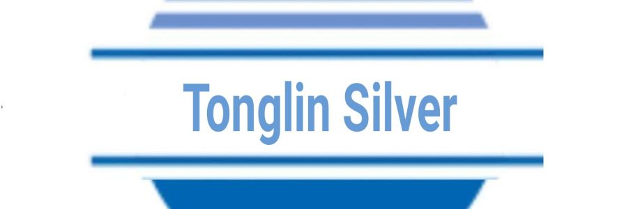 Tonglin Silver Cover Image