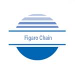 Figaro Chain Profile Picture