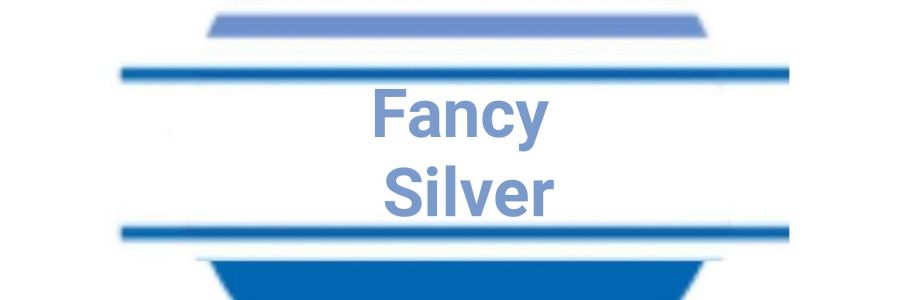 Fancy Silver Cover Image