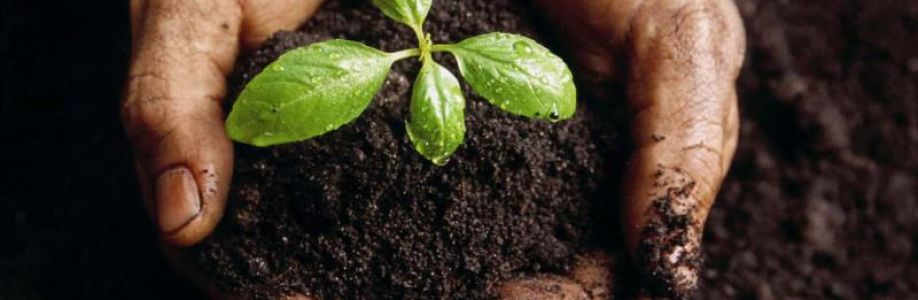 Potting Soil Market size See Incredible Growth during 2030 Cover Image