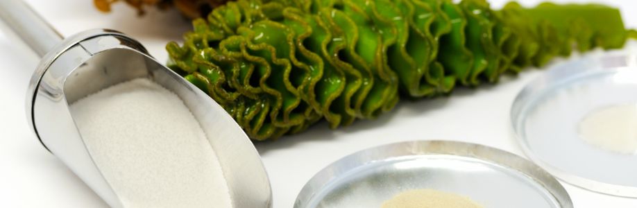 Seaweed Extracts for Cosmetics and Food and Beverage Market To Witness Huge Growth By 2030 Cover Image