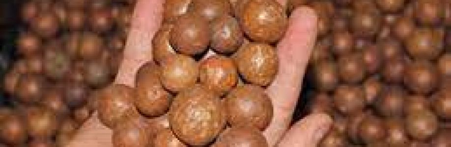 Macadamia Nuts Market Expected to Expand at a Steady 2022-2030 Cover Image