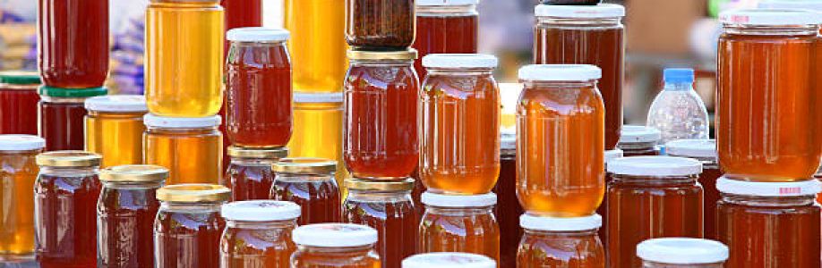 Honey Food Market to Experience Significant Growth by 2033 Cover Image