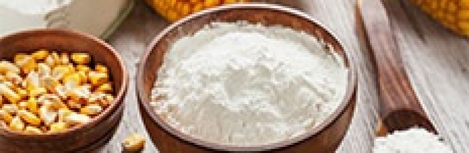 Starch and Starch Derivatives Market is Expected to Gain Popularity Across the Globe by 2030 Cover Image