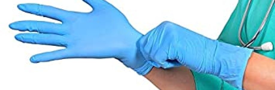 Plastic Disposable Gloves Market Size, Share, Trends and Future Scope Forecast 2022-2030 Cover Image