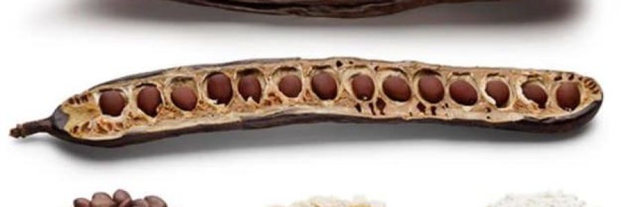 Locust Bean Gum (E410) Market to Experience Significant Growth by 2030 Cover Image