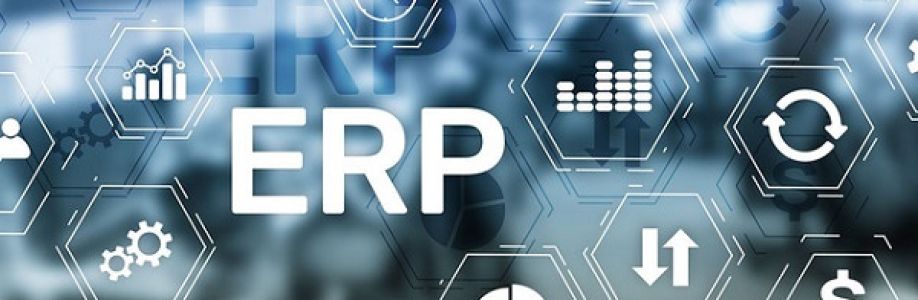 Erp Systems Market Growing Demand and Huge Future Opportunities by 2033 Cover Image