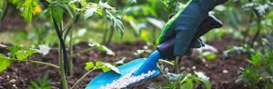 Starter Fertilizers Market is Expected to Gain Popularity Across the Globe by 2030 Cover Image