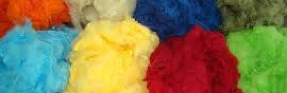 Recycled Polyester Staple Fiber Market Expected to Expand at a Steady 2022-2030 Cover Image