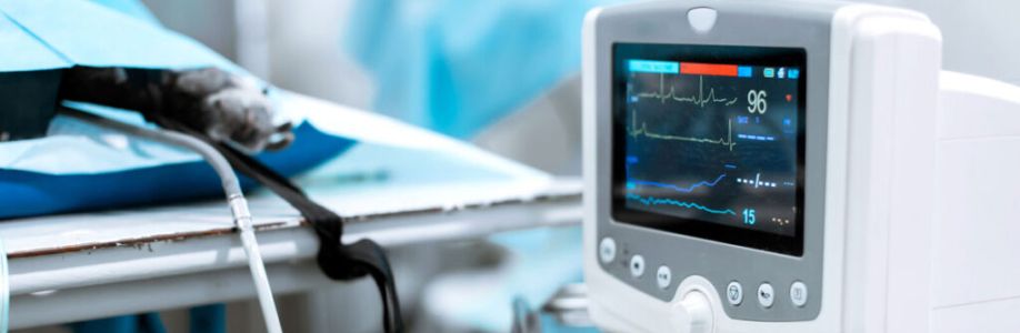 Global Veterinary Electrocardiographs Market is Expected to Gain Popularity Across the Globe by 2030 Cover Image