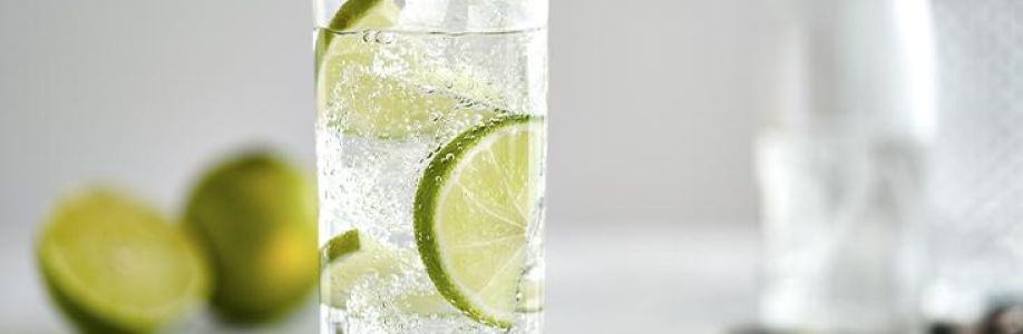 Low-calorie Tonic Water Market Expected to Expand at a Steady 2022-2030 Cover Image