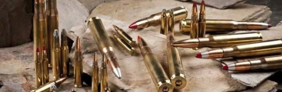 Ammunition Handling System Market to Experience Significant Growth by 2030 Cover Image
