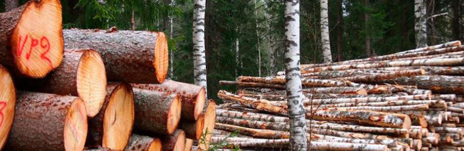 Forestry Software Market With Manufacturing Process and CAGR Forecast by 2033 Cover Image