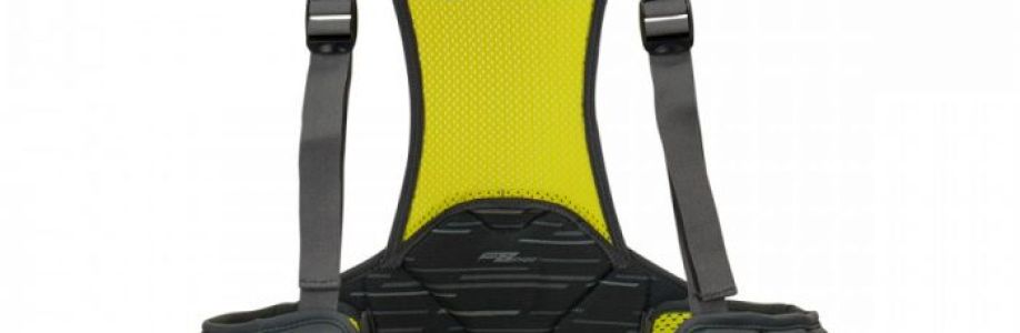Lacrosse Rib Pad Market Size, Trends, Scope and Growth Analysis to 2030 Cover Image
