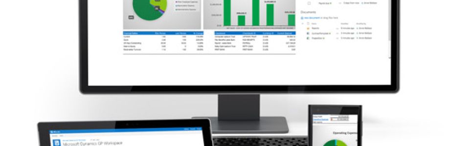 Microsoft Dynamics GP Consulting Market to Experience Significant Growth by 2030 Cover Image