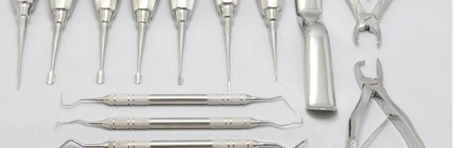 Global Veterinary Dental Scalers Market size See Incredible Growth during 2030 Cover Image