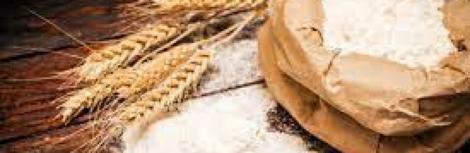 Organic Bread Flour Market Size Volume, Share, Demand growth, Business Opportunity by 2030 Cover Image