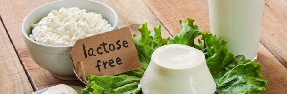 Low Lactose Milk Market Research Report on Current Status and Future Growth Prospects to 2033 Cover Image