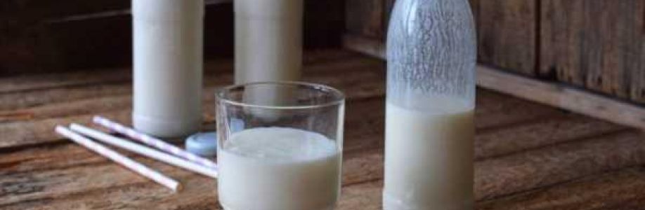 Sour Milk Market With Manufacturing Process and CAGR Forecast by 2030 Cover Image