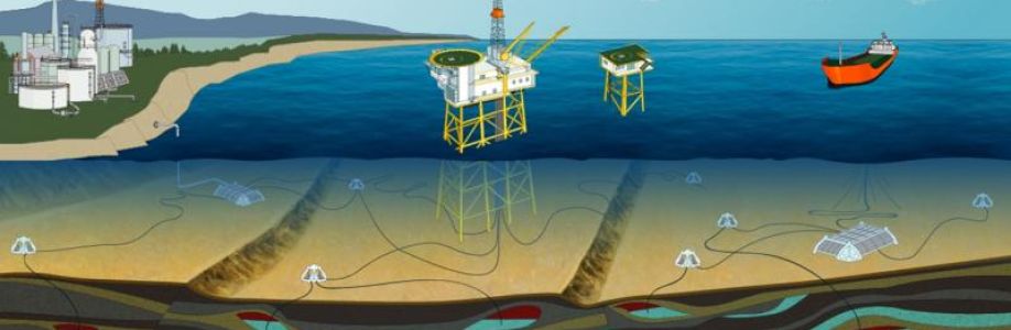 Oil and Gas Simulation and Modeling Software Market Growth, Trends, Absolute Opportunity and Value Chain 2023-2033 Cover Image