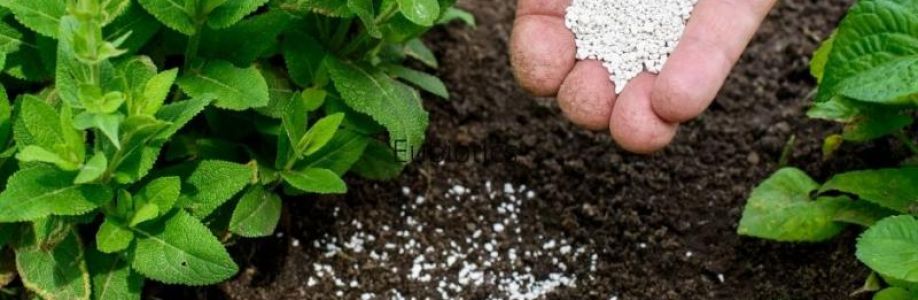 Starter Fertilizers Market to Experience Significant Growth by 2033 Cover Image