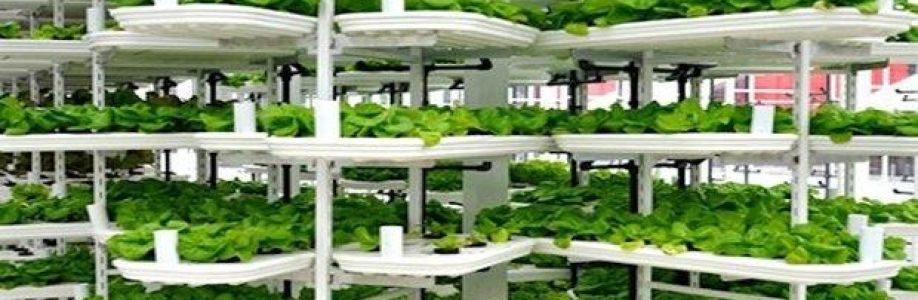 Vertical Farming Plant Factory Market Size, Share, Trends and Future Scope Forecast 2022-2030 Cover Image