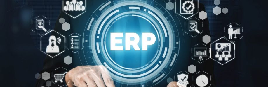 Project-Based Erp Software Market Set to Witness Explosive Growth by 2033 Cover Image
