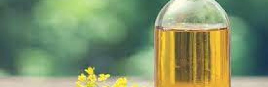 Canola Oil Market Growth, Trends, Huge Business Opportunity and Value Chain 2022-2030 Cover Image