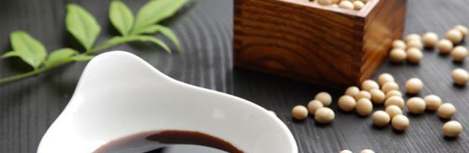 Soy Sauce Market Size Volume, Share, Demand growth, Business Opportunity by 2030 Cover Image