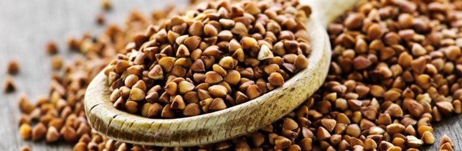 Buckwheat Seeds Market Size, Trends, Scope and Growth Analysis to 2033 Cover Image