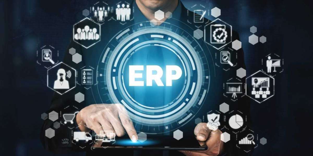 Project-Based Erp Software Market Set to Witness Explosive Growth by 2033