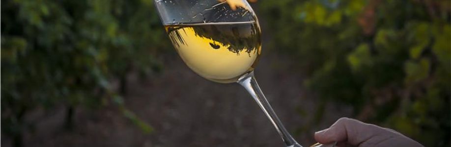 Off Dry White Wine Market Set to Witness Explosive Growth by 2033 Cover Image