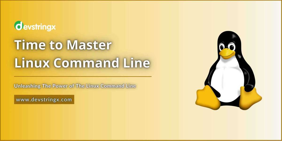 Mastering Linux Commands: Unleashing the Power of the Terminal