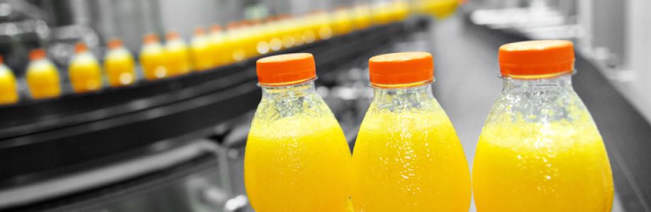 Squash Drinks Market Growing Demand and Huge Future Opportunities by 2033 Cover Image