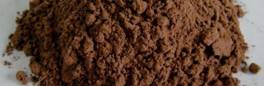 Alkalized Cocoa Powder Market Growing Demand and Huge Future Opportunities by 2033 Cover Image