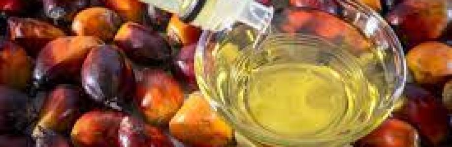 Palm Oil Market With Manufacturing Process and CAGR Forecast by 2030 Cover Image