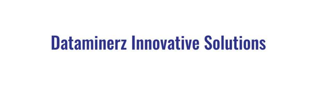Dataminerz Innovative Solutions Cover Image