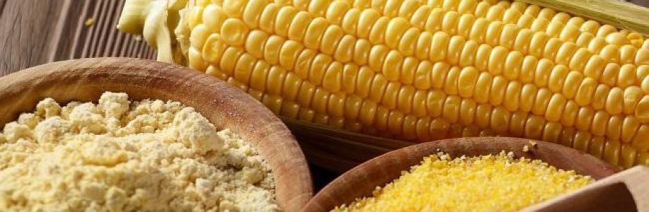 Precooked Corn Flour Market Growing Geriatric Population to Boost Growth 2033 Cover Image