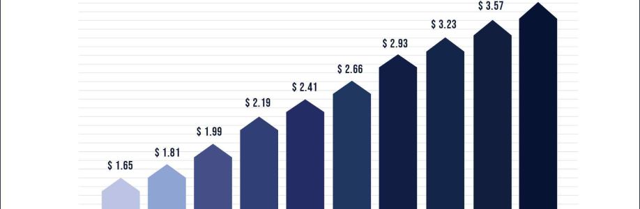 Dental Software Market Growing Demand and Huge Future Opportunities by 2033 Cover Image